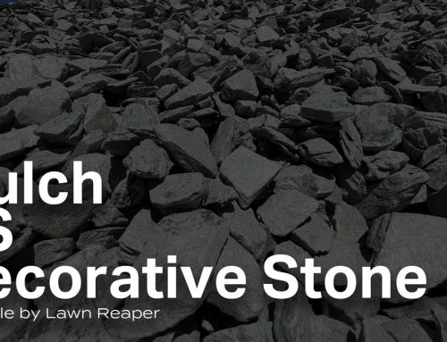 Mulch VS Decorative Stone Cape Coral Landscaping